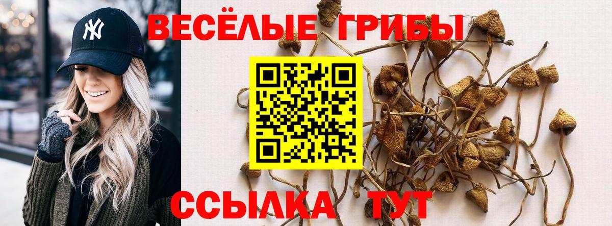 Галлюциногенные грибы прущие грибы Красноармейск
